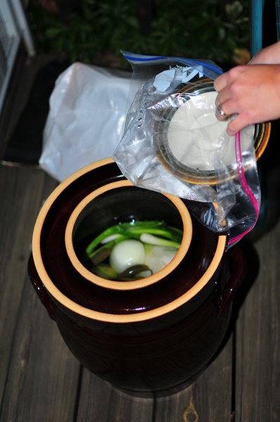 Image for MRsNYbill's Dongchimi (white Kimchi)