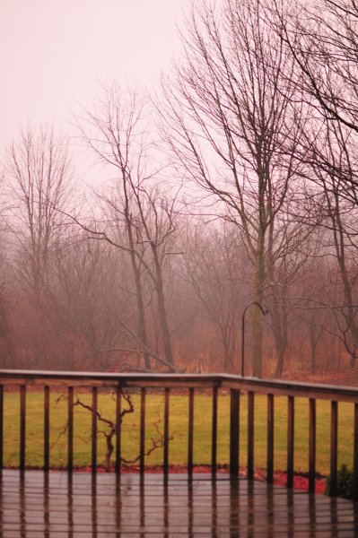 Image for Winter Fog
