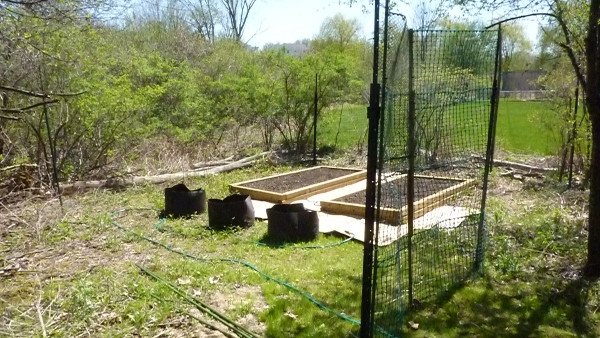 Image for MrsNYbill's new raised beds. Seedlings are growing in the basement ATM. 