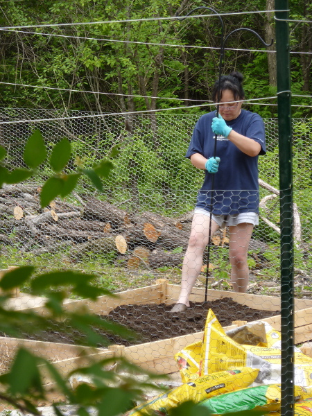 Image for Seoul Farmer