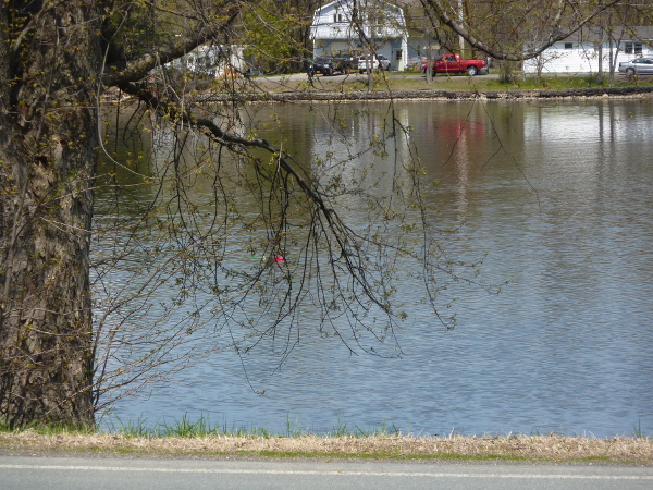 Image for Rocket in the river. 