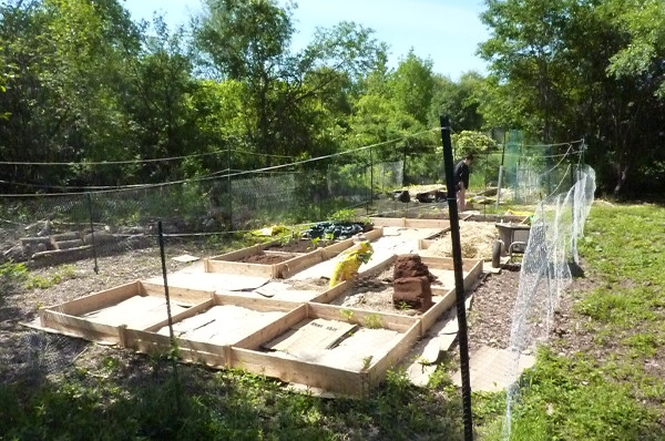 Image for Expanded Garden