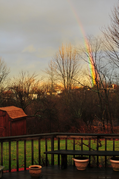 Image for Rainbow in January. 